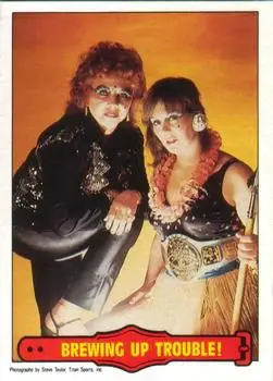 1985 O-Pee-Chee WWF Pro Wrestling Stars Series 2 #19 - Card #19 1985 O-Pee-Chee WWF Pro Wrestling Stars Series 2 #19 - Card #19