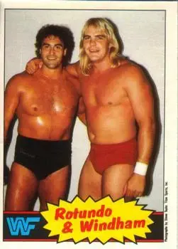 1985 O-Pee-Chee WWF Pro Wrestling Stars #18 - Card #18 - Front 1985 O-Pee-Chee WWF Pro Wrestling Stars #18 - Card #18 - Front