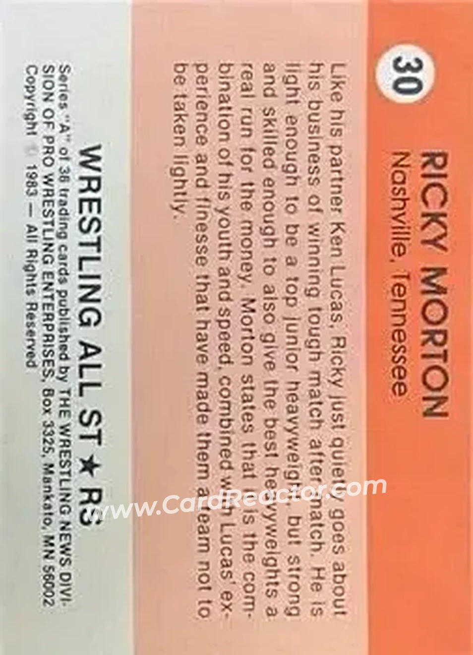 1983 Wrestling All Stars Series A #30 - Ricky Morton 1983 Wrestling All Stars Series A #30 - Ricky Morton