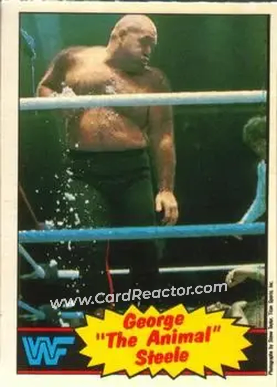1985 O-Pee-Chee WWF Pro Wrestling Stars #21 - George "The Animal" Steele