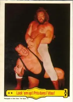 1985 O-Pee-Chee WWF Pro Wrestling Stars #23 - Card #23 - Front
