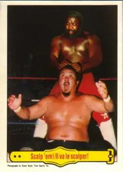 1985 O-Pee-Chee WWF Pro Wrestling Stars #24 - Card #24 - Front