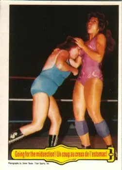 1985 O-Pee-Chee WWF Pro Wrestling Stars #25 - Card #25 - Front