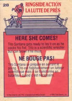 1985 O-Pee-Chee WWF Pro Wrestling Stars #28 - Card #28 - Back
