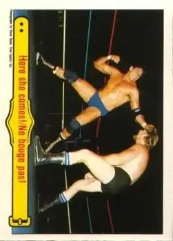 1985 O-Pee-Chee WWF Pro Wrestling Stars #28 - Card #28 - Front