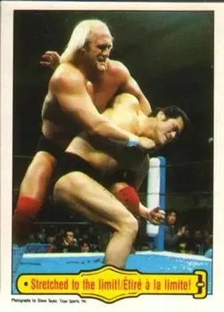 1985 O-Pee-Chee WWF Pro Wrestling Stars #29 - Card #29