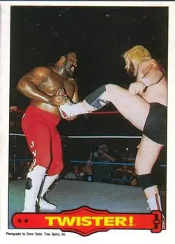 1985 O-Pee-Chee WWF Pro Wrestling Stars Series 2 #22 - Card #22 - Front