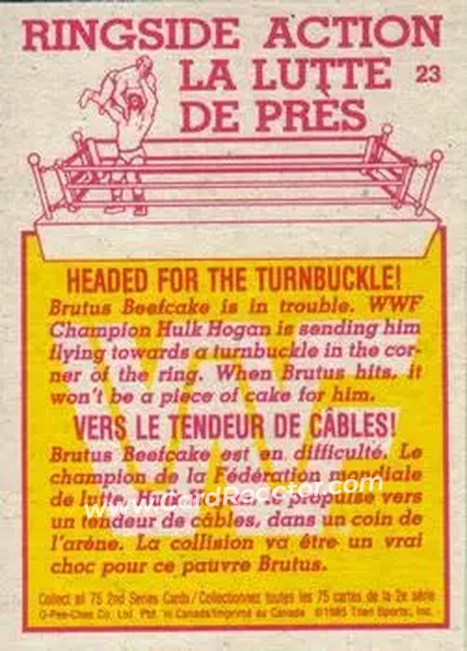 1985 O-Pee-Chee WWF Pro Wrestling Stars Series 2 #23 - Card #23 1985 O-Pee-Chee WWF Pro Wrestling Stars Series 2 #23 - Card #23