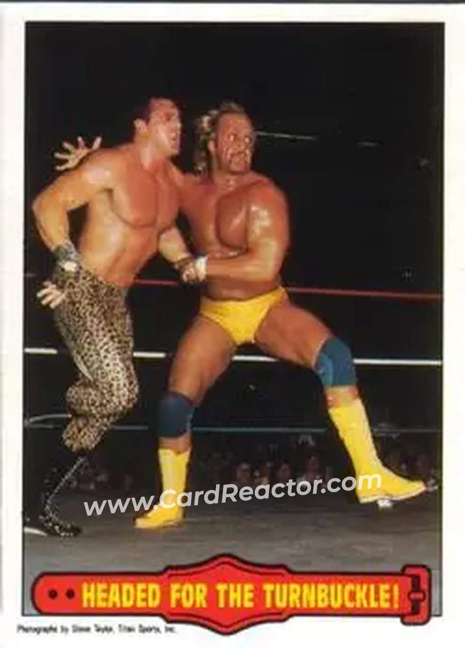 1985 O-Pee-Chee WWF Pro Wrestling Stars Series 2 #23 - Card #23 1985 O-Pee-Chee WWF Pro Wrestling Stars Series 2 #23 - Card #23