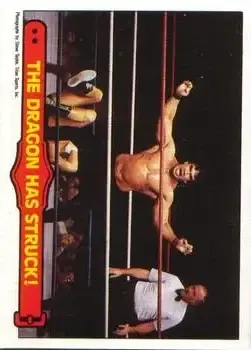 1985 O-Pee-Chee WWF Pro Wrestling Stars Series 2 #26 - Card #26 - Front
