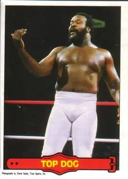 1985 O-Pee-Chee WWF Pro Wrestling Stars Series 2 #27 - Card #27 1985 O-Pee-Chee WWF Pro Wrestling Stars Series 2 #27 - Card #27