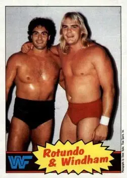 1985 Topps WWF Pro Wrestling Stars #18 - Card #18 - Front