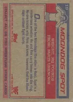 1985 Topps WWF Pro Wrestling Stars #19 - Moondog Spot - Back