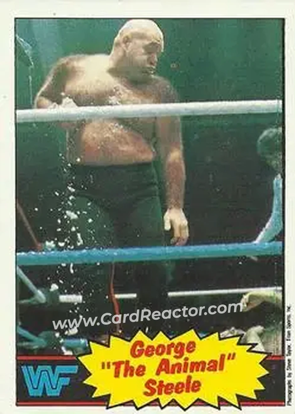 1985 Topps WWF Pro Wrestling Stars #21 - George "The Animal" Steele