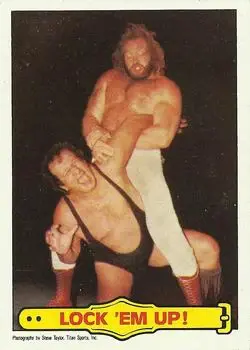 1985 Topps WWF Pro Wrestling Stars #23 - Card #23 - Front