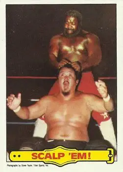 1985 Topps WWF Pro Wrestling Stars #24 - Card #24 - Front
