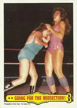 1985 Topps WWF Pro Wrestling Stars #25 - Card #25 - Front