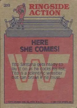 1985 Topps WWF Pro Wrestling Stars #28 - Card #28 - Back 1985 Topps WWF Pro Wrestling Stars #28 - Card #28 - Back