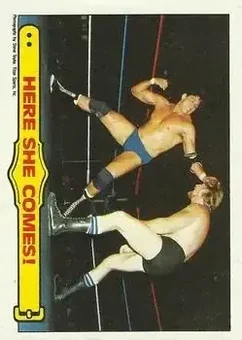 1985 Topps WWF Pro Wrestling Stars #28 - Card #28