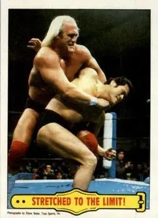 1985 Topps WWF Pro Wrestling Stars #29 - Card #29