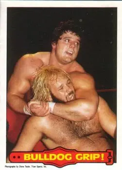 1985 O-Pee-Chee WWF Pro Wrestling Stars Series 2 #32 - Card #32 - Front