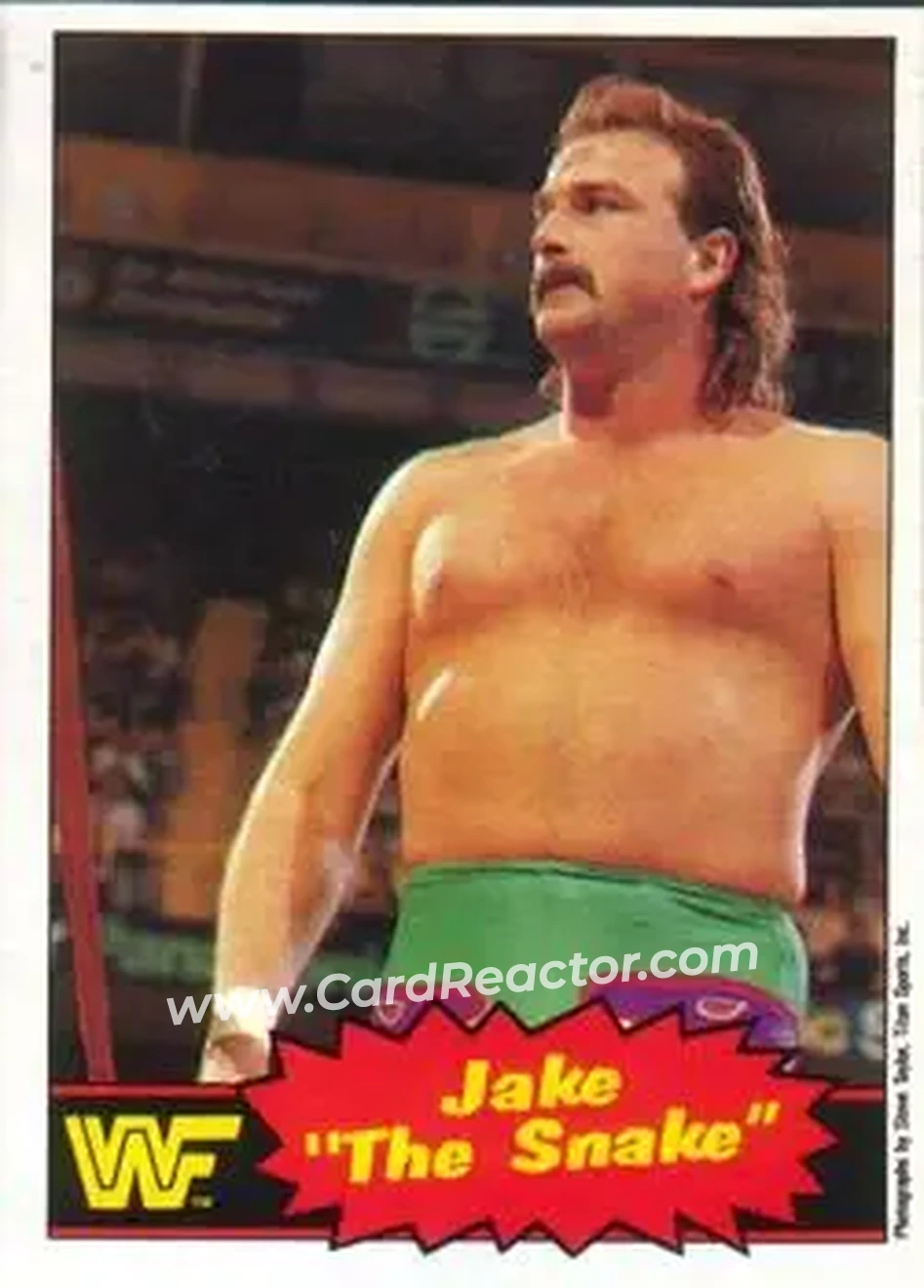 1985 O-Pee-Chee WWF Pro Wrestling Stars Series 2 #33 - Jake "The Snake" Roberts 1985 O-Pee-Chee WWF Pro Wrestling Stars Series 2 #33 - Jake "The Snake" Roberts