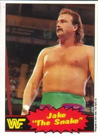 1985 O-Pee-Chee WWF Pro Wrestling Stars Series 2 #33 - Jake "The Snake" Roberts