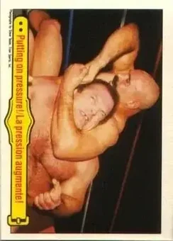 1985 O-Pee-Chee WWF Pro Wrestling Stars #32 - Card #32