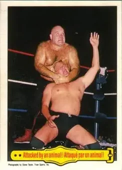 1985 O-Pee-Chee WWF Pro Wrestling Stars #37 - Card #37
