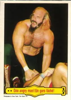 1985 O-Pee-Chee WWF Pro Wrestling Stars #38 - Card #38 - Front