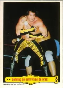 1985 O-Pee-Chee WWF Pro Wrestling Stars #41 - Card #41