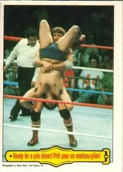 1985 O-Pee-Chee WWF Pro Wrestling Stars #42 - Card #42
