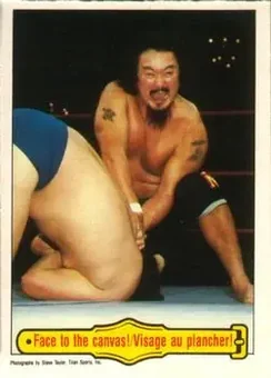 1985 O-Pee-Chee WWF Pro Wrestling Stars #43 - Card #43