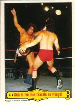 1985 O-Pee-Chee WWF Pro Wrestling Stars #45 - Card #45