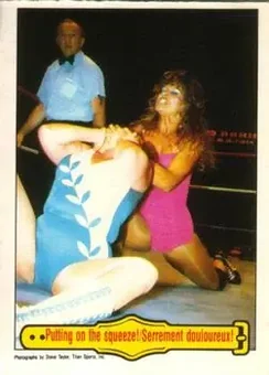 1985 O-Pee-Chee WWF Pro Wrestling Stars #47 - Card #47 1985 O-Pee-Chee WWF Pro Wrestling Stars #47 - Card #47