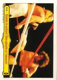 1985 O-Pee-Chee WWF Pro Wrestling Stars #48 - Card #48