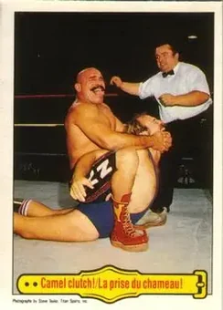 1985 O-Pee-Chee WWF Pro Wrestling Stars #49 - Card #49