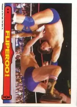 1985 O-Pee-Chee WWF Pro Wrestling Stars Series 2 #42 - Card #42 - Front