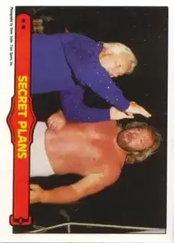 1985 O-Pee-Chee WWF Pro Wrestling Stars Series 2 #47 - Card #47 - Front