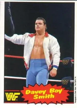 1985 O-Pee-Chee WWF Pro Wrestling Stars Series 2 #48 - Davey Boy Smith