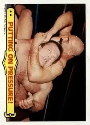 1985 Topps WWF Pro Wrestling Stars #32 - Card #32