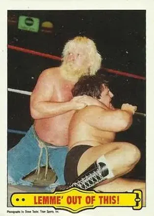 1985 Topps WWF Pro Wrestling Stars #35 - Card #35
