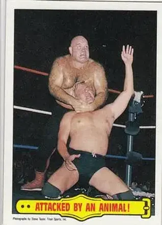 1985 Topps WWF Pro Wrestling Stars #37 - Card #37