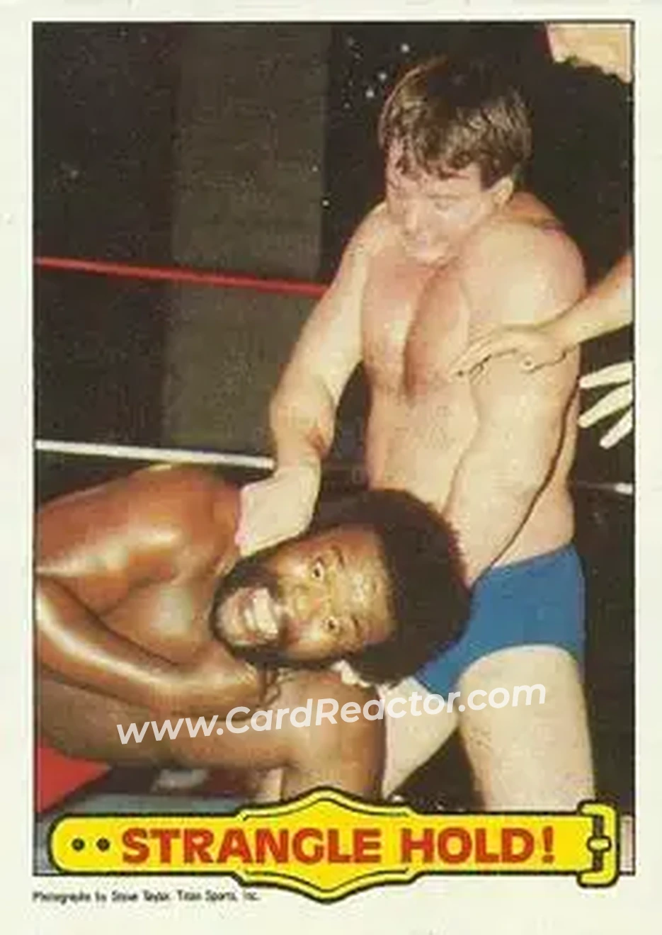 1985 Topps WWF Pro Wrestling Stars #40 - Card #40 1985 Topps WWF Pro Wrestling Stars #40 - Card #40