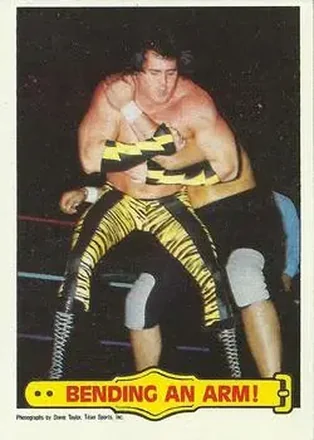 1985 Topps WWF Pro Wrestling Stars #41 - Card #41