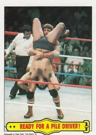 1985 Topps WWF Pro Wrestling Stars #42 - Card #42