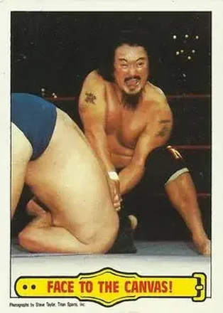 1985 Topps WWF Pro Wrestling Stars #43 - Card #43
