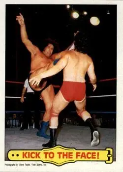 1985 Topps WWF Pro Wrestling Stars #45 - Card #45 - Front