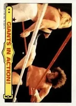 1985 Topps WWF Pro Wrestling Stars #48 - Card #48