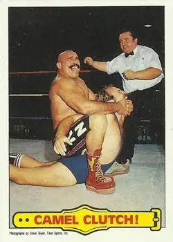 1985 Topps WWF Pro Wrestling Stars #49 - Card #49 - Front